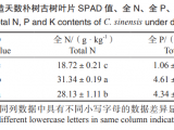 立地环境改造对古树根系分布特征的影响——以 44011111322000296号朴树为例*