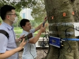 130万株行道树有必要全面体检，效率和成本是难题，在研“怪车”有望解决