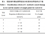 稻纵卷叶螟危害下水稻叶片光谱特征及产量估测