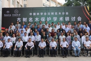 点将科技协办古树名木保护学术研讨会在昆明召开