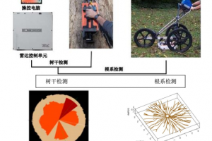 TRU树木雷达成像实例
