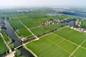 什么是高标准基本农田建设？