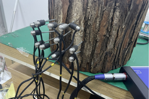 Picus3树木断层画像诊断仪传感器梁式检测方法