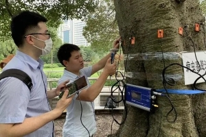 130万株行道树有必要全面体检，效率和成本是难题，在研“怪车”有望解决