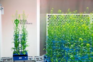 第四届植物与藻类综合表型学会议