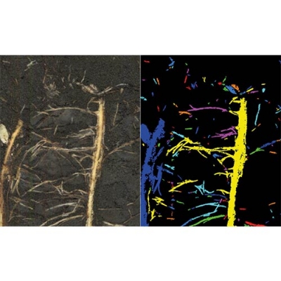 SOILINSIGHT根系监测系统