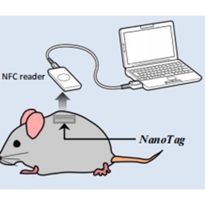 Kissei NanoTag 植入式活动检测仪