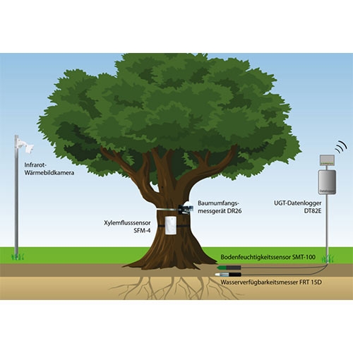 Talking Tree树木监测系统