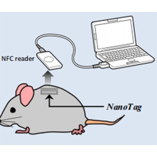 Kissei NanoTag 植入式活动检测仪