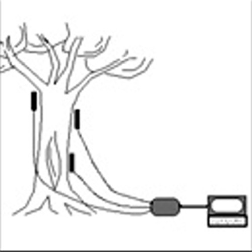 DYNATIM™ DNT04 系列树木负载测试仪