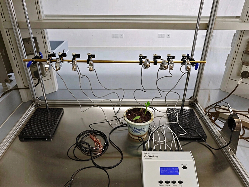 图片关键词 8通道昆虫刺探电位仪(EPG)——记录刺吸式口器昆虫取食行为波形